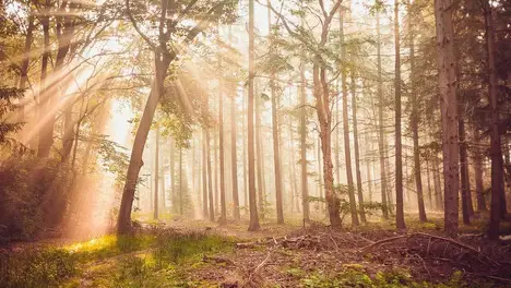 AL战队零封IG，冒泡赛前景堪忧，翻译穿搭成电竞圈热议